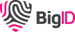 BigID Gray-Pink_HRZ