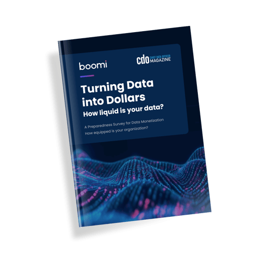 Turning-Data-Into-Dollars-Boomi-Report-Mockup