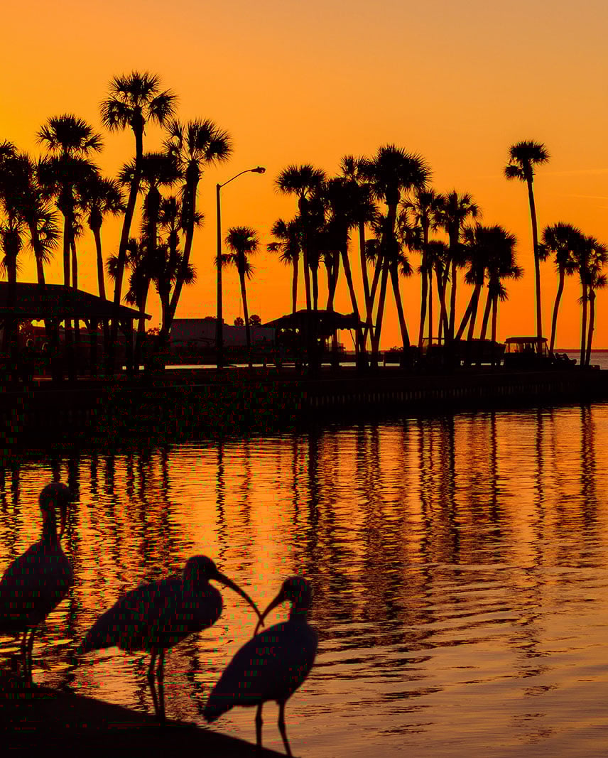 sunset_california